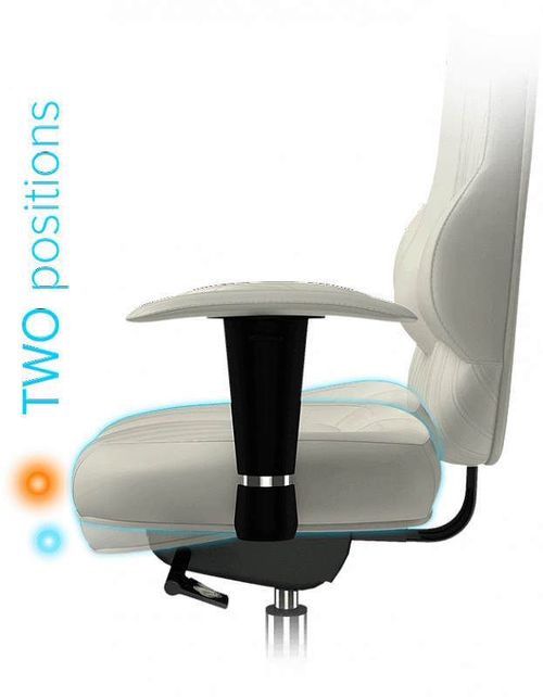 купить Офисное кресло Kulik System Imperial White Eco в Кишинёве 
