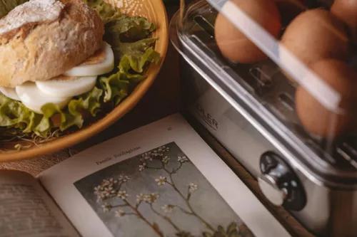 купить Яйцеварка Adler AD 4486 inox в Кишинёве 