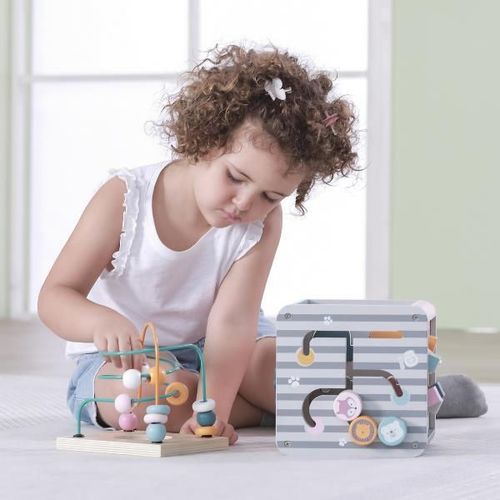 купить Головоломка Viga 44030 Busy - кубик 5 в 1 игровой кубик в Кишинёве 