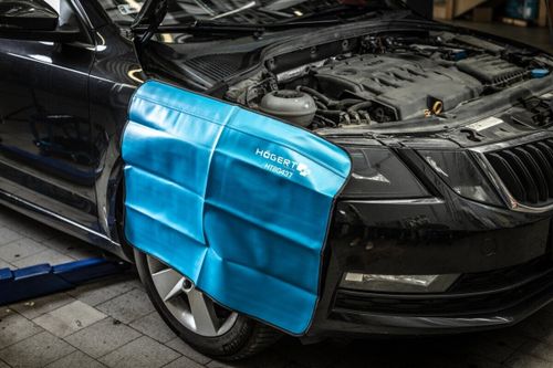 купить Чехол для автомобиля Hoegert HT8G437 Накидка защитная на крыло магнитным креплением 590х790мм в Кишинёве 