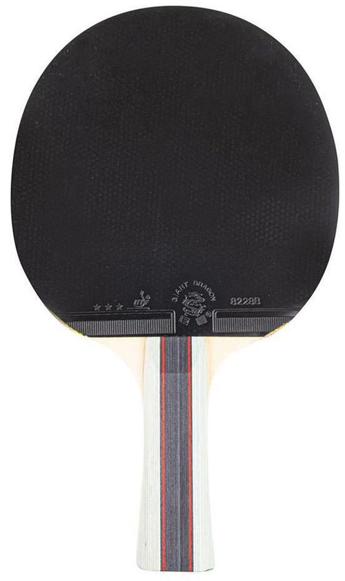 cumpără Articol de tenis inSPORTline 10036 Paleta tenis de masa Shootfair S3 IN21555 în Chișinău 
