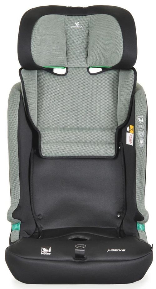 купить Автокресло Cangaroo iDrive Phantom Green в Кишинёве 