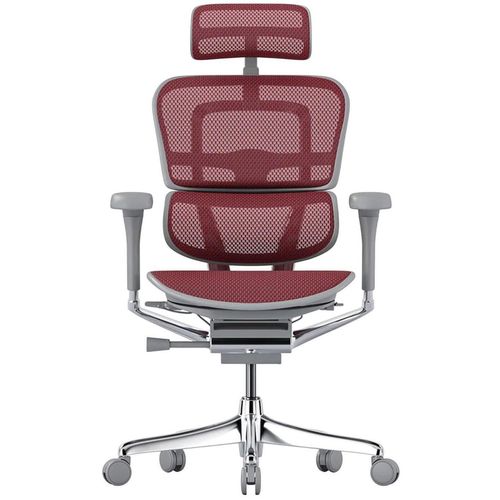 купить Офисное кресло ART Ergohuman Elite 2 Scarlet T-168-B3 EHE2-AG-HAM-5D-L в Кишинёве 