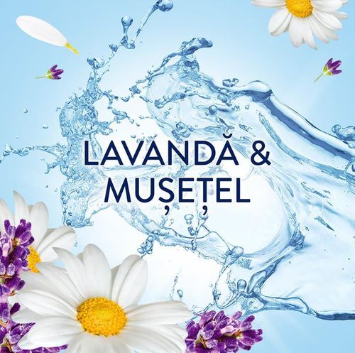 cumpără Balsam de rufe Lenor 0561 LAVENDER&CAMOMILE 71W în Chișinău 