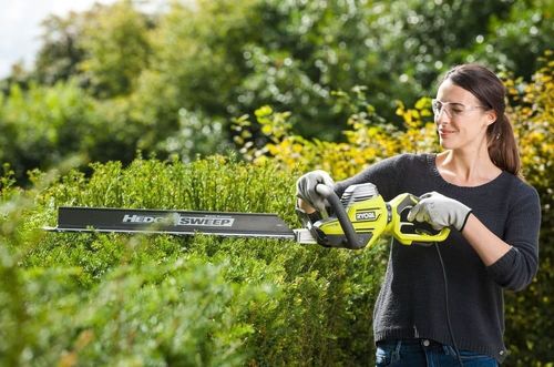 купить Кусторез RYOBI RHT8165RL 5133003649 в Кишинёве 