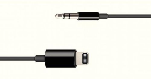 cumpără Cablu telefon mobil Apple Lightning to 3.5mm Audio Cable MR2C2 în Chișinău 