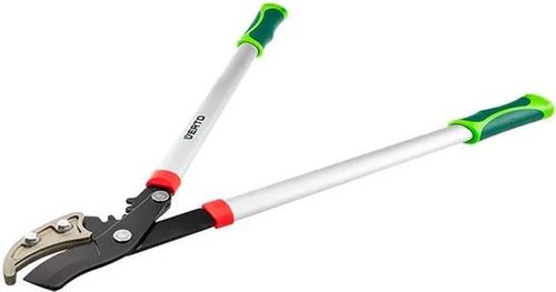 купить Ножницы садовые Verto 52160 Садовые ножницы 100 мм в Кишинёве 