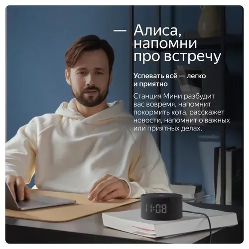 cumpără Boxă portativă Bluetooth Yandex YNDX-00020G Alisa Station Mini Gray în Chișinău 