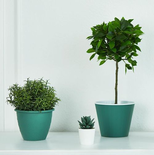 cumpără Ghiveci pentru flori Aleana 114034 Ibis cu fund dublu 15,7x13,0cm, green / white în Chișinău 