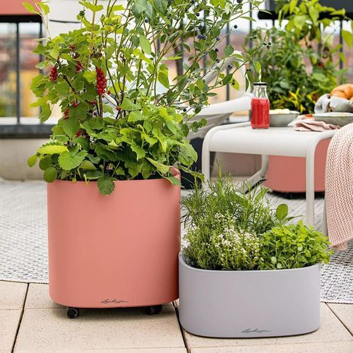 купить Цветочный горшок Lechuza Pila Stick System, Slate в Кишинёве 