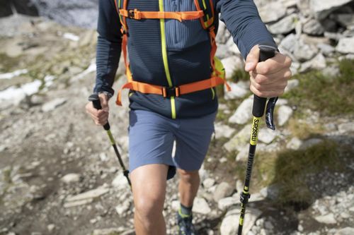 cumpără Bețe pentru trekking Masters DOLOMITI (01S4219) în Chișinău 