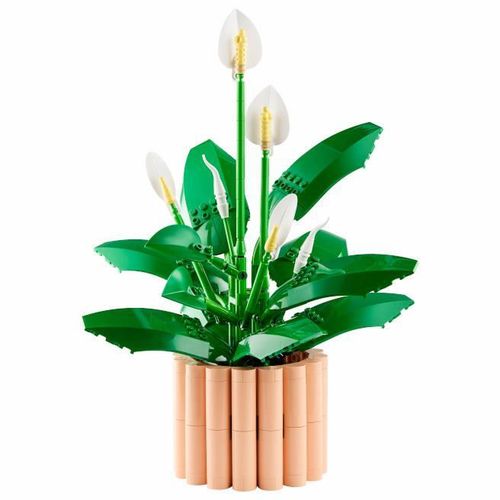 купить Конструктор Lego 11504 Peace Lily в Кишинёве 