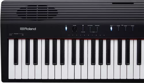 купить Цифровое пианино Roland GO-88P в Кишинёве 