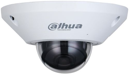 купить Камера наблюдения Dahua DH-IPC-EB5541P-M-AS Fisheye в Кишинёве 