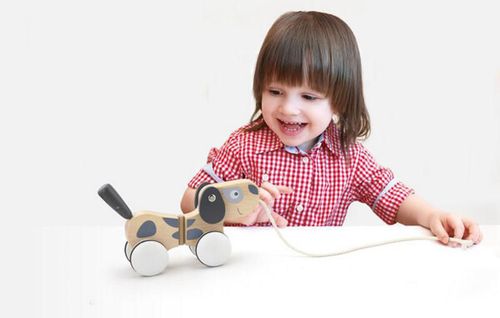 cumpără Jucărie Viga 51614 Catelul din lemn în Chișinău 