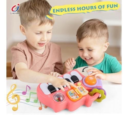 cumpără Jucărie muzicală Bibi-Irn 6225 Pian Arici (în asort.) în Chișinău 