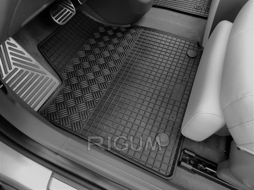 купить Коврик для автомобиля Rigum Hyundai Ioniq 17- / в Кишинёве 