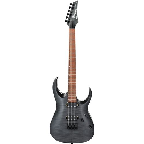 cumpără Chitară Ibanez RGA42FM TGF (Transparent gray flat) în Chișinău 