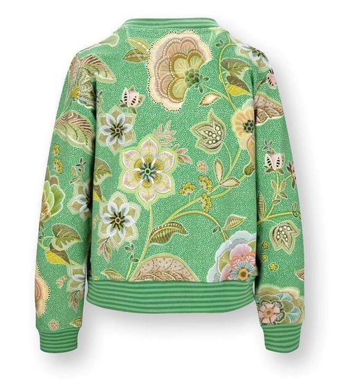 купить Домашний текстиль Pip Studio 51.515.121 Nicos Jacket Matata Green XXL Green в Кишинёве 