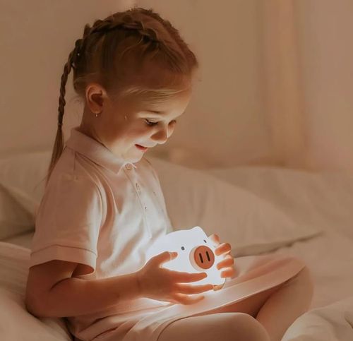 купить Ночной светильник Mary’s MW20726 LED Pig в Кишинёве 