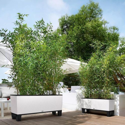 купить Цветочный горшок Lechuza Trio Cottage 40, White в Кишинёве 