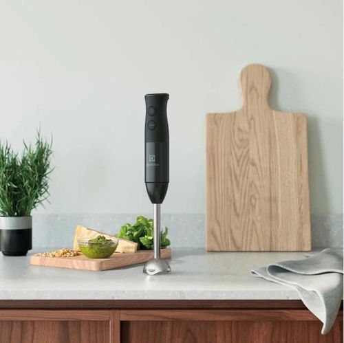 купить Блендер погружной Electrolux E3HB1-4GG в Кишинёве 