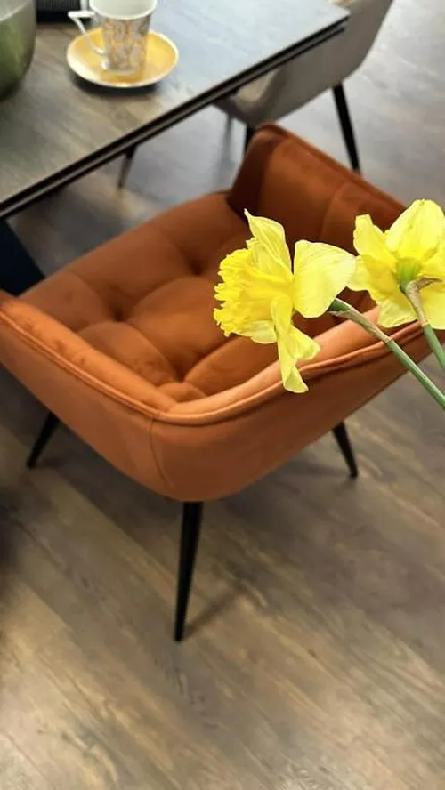 купить Стул Signal Lilia velvet в Кишинёве 