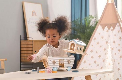 cumpără Jucărie Viga 44051 Noahs Ark Shape Sorter în Chișinău 