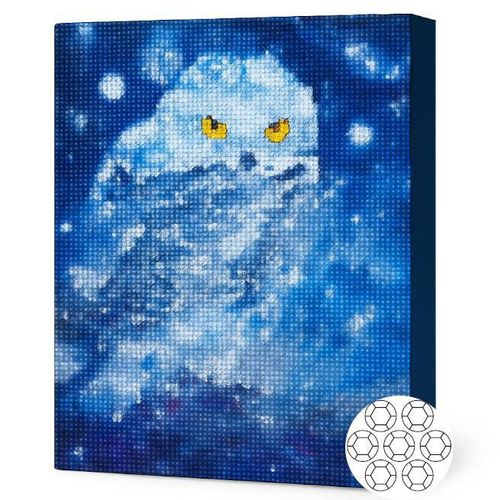 купить Картина по номерам Art Gallery GB72880 Mozaic cu diamante 30x40cm Bufnita alba в Кишинёве 