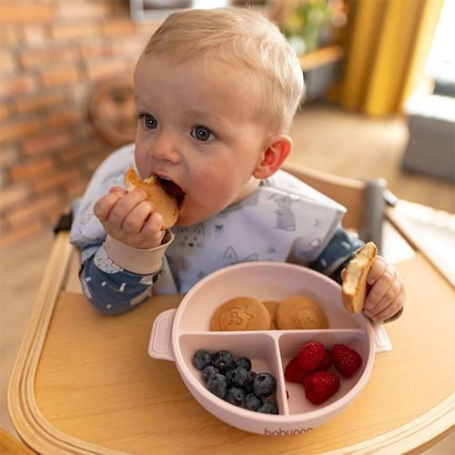 купить Посуда для кормления BabyOno 1661/02 Placa de silicon cu ventuza si capac (roz) в Кишинёве 