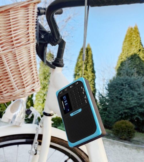 купить Радиоприемник Blaupunkt PR5BL в Кишинёве 