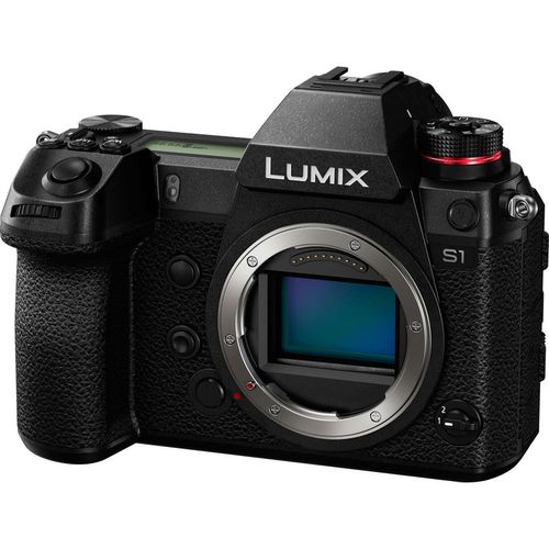 cumpără Aparat foto mirrorless Panasonic DC-S1EE-K în Chișinău 