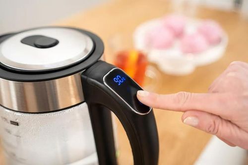 купить Чайник электрический Zelmer ZCK8033 в Кишинёве 