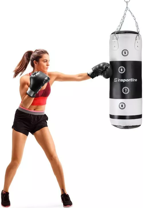 cumpără Articol de box inSPORTline 11610 Sac de box Robkin 90 x 35 cm (25 kg) IN 22054 în Chișinău 