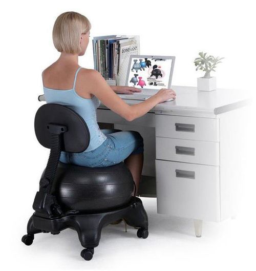 купить Мяч inSPORTline 3655 Fotoliu/scaun cu minge fitness 10970 (135 kg) +suport spate в Кишинёве 