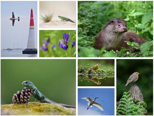 купить Объектив Nikon AF-S Nikkor 200-500mm F/5.6E ED VR в Кишинёве 