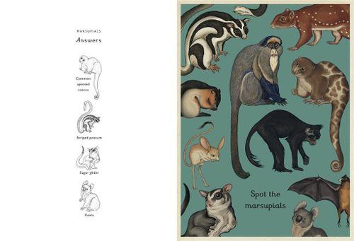 купить Animalium Activity Book в Кишинёве 