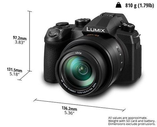 купить Фотоаппарат компактный Panasonic DC-FZ10002EE в Кишинёве 