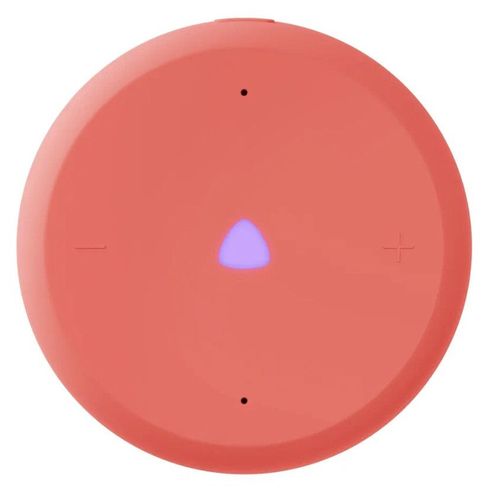 cumpără Boxă portativă Bluetooth Yandex YNDX-00028ORG Alisa Station Lite 2 Coral în Chișinău 