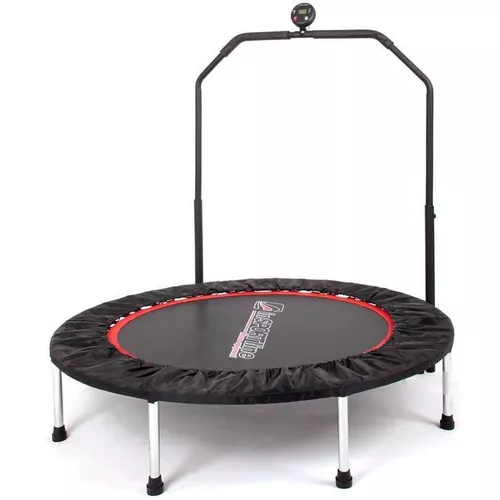 купить Батут inSPORTline 319 fitness+ maner+ecran d=100cm 7198 Profi в Кишинёве 