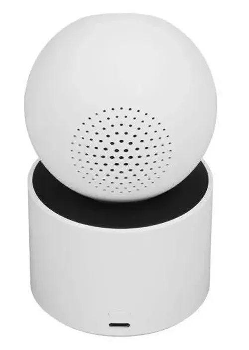 купить Камера наблюдения Xiaomi Smart Camera C300 Dual в Кишинёве 