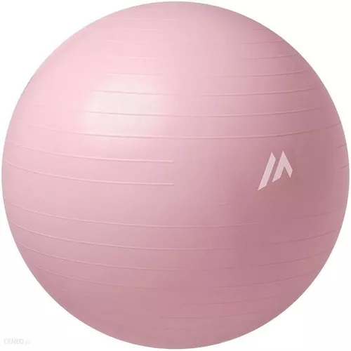 cumpără Minge Martes Sport 31550 Minge Fitness Bursti Shiny Light Pink în Chișinău 