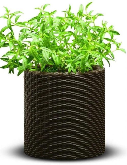 купить Садовая фигура Keter Cylinder Planter S Brown (223940) в Кишинёве 