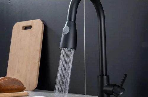 cumpără Bateria bucătărie Frap F 60991-6 (chiuveta plus extensibil) Alama NEGR în Chișinău 