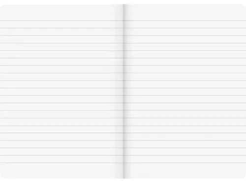 купить Блокнот Brunnen Carnet A5 negru FACT! Plus linie 96 de foi в Кишинёве 