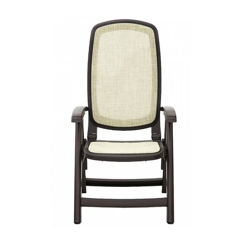 купить Кресло складное Nardi DELTA CAFFE beige 40310.05.105 (Кресло складное для сада и террасы) в Кишинёве 