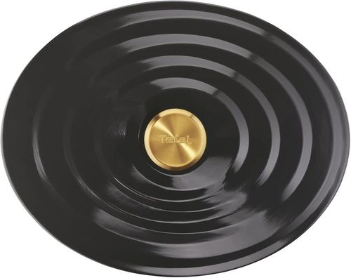 купить Кастрюля Tefal E2558904 Air 5,7l в Кишинёве 