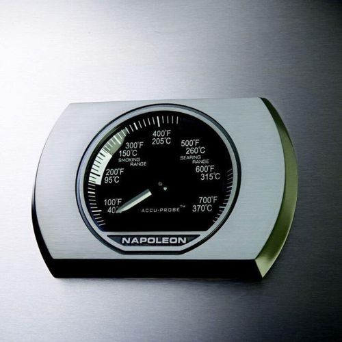 купить Мангал Napoleon Gratar pe gaz natural Prestige PRO665, (PRO665RSIBNSS) в Кишинёве 
