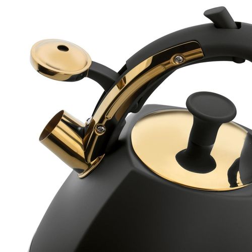 купить Чайник Starke Pro Grava Black 2,5L в Кишинёве 