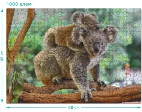 cumpără Puzzle Dodo 301183 Puzzle Baby koala și mama, seria Lumea animalelor, 1000 elem. în Chișinău 